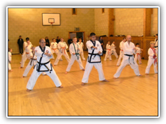 Tang Soo Do