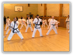 Tang Soo Do