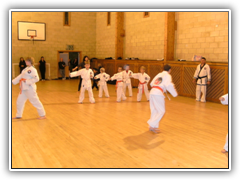 Tang Soo Do